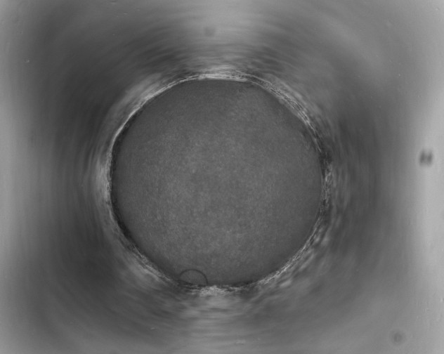 X0000103970290200809191540