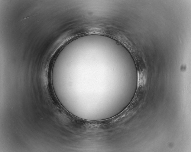 X0000103970291200809191540