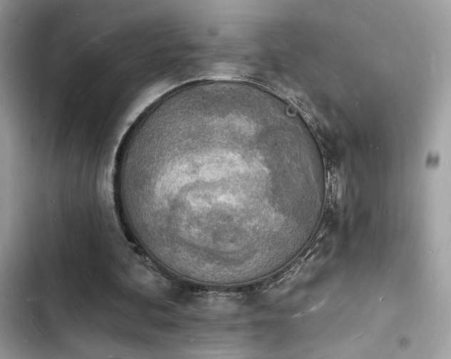 X0000103970292200809191540