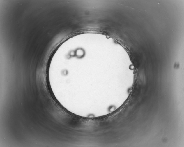 X0000103970293200809191540