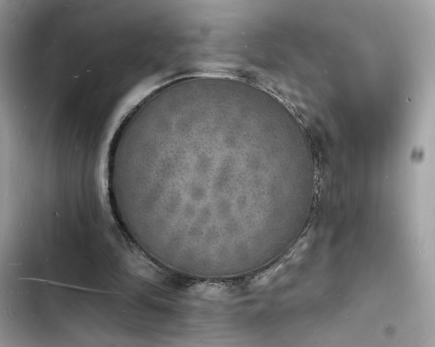 X0000103970294200809191540