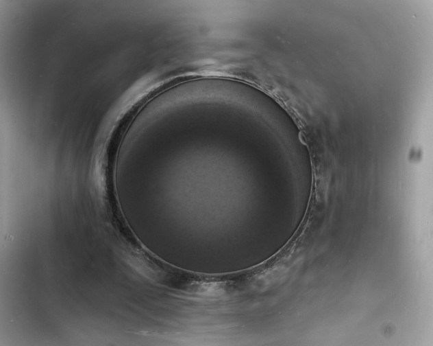 X0000103970295200809191540