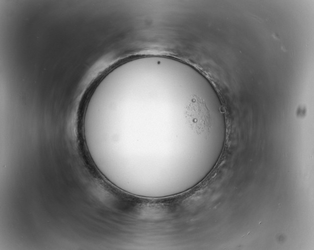 X0000103970296200809191540