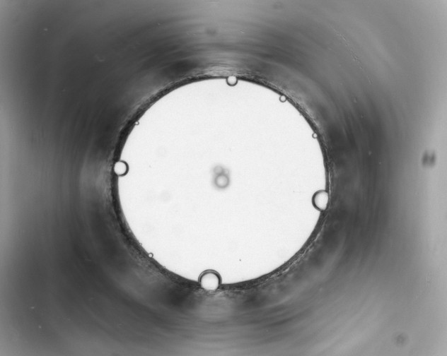 X0000103970297200809191540