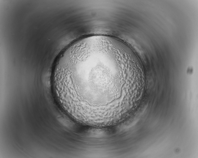 X0000103970299200809191540