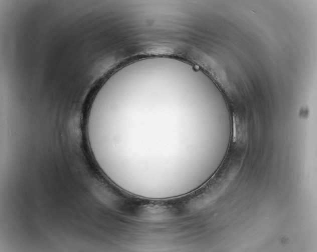 X0000103970300200809191540