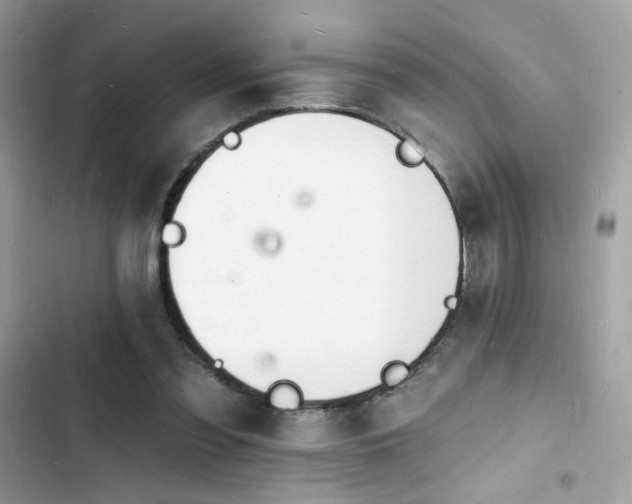 X0000103970301200809191540