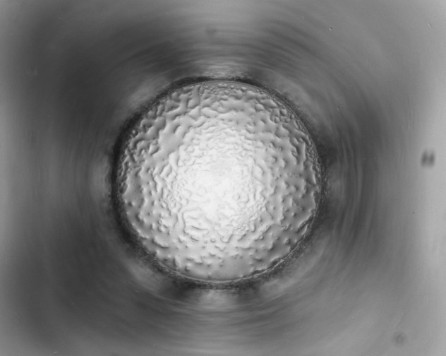 X0000103970303200809191540