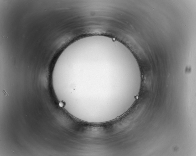 X0000103970304200809191540