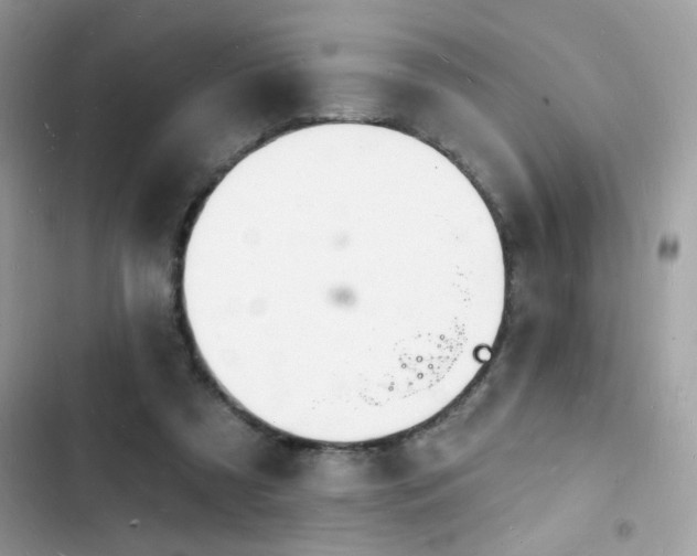 X0000103970305200809191540