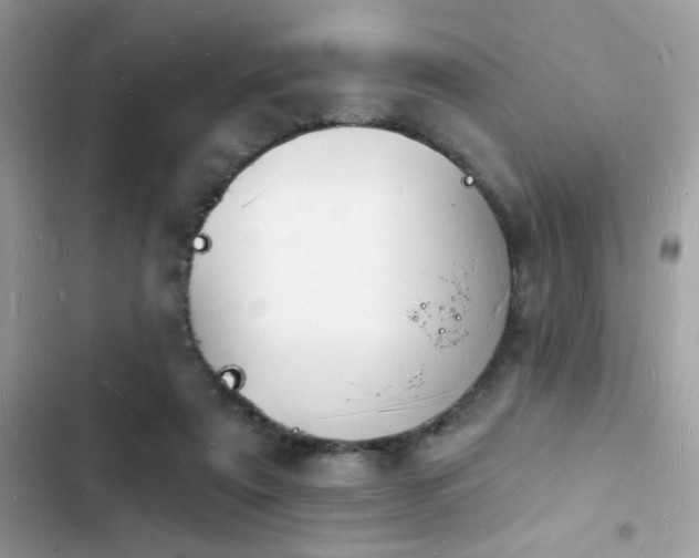 X0000103970307200809191540