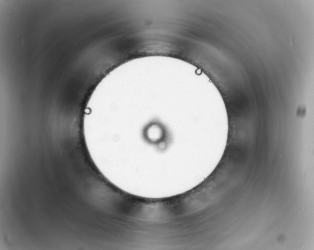 X0000103970309200809191540