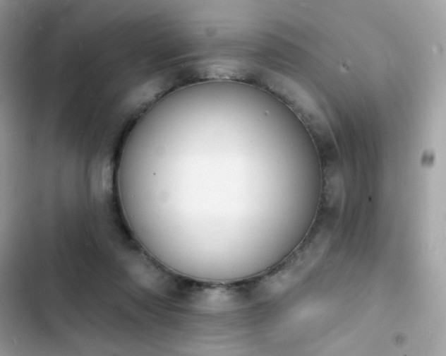 X0000103970310200809191540