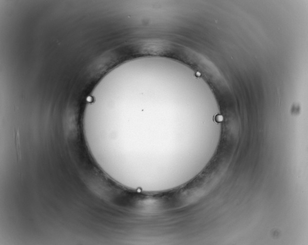 X0000103970312200809191540