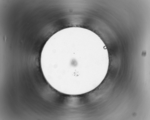 X0000103970313200809191540