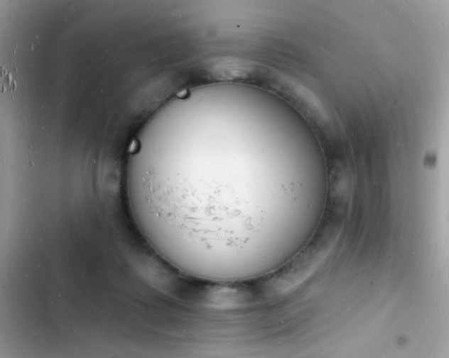 X0000103970315200809191540