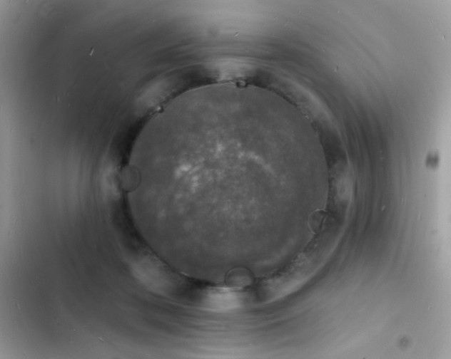 X0000103970316200809191540