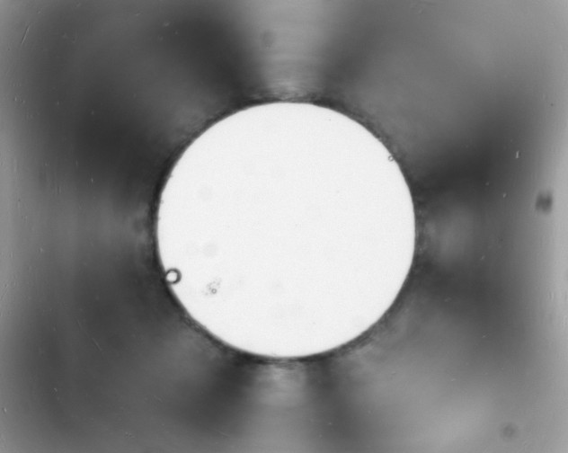 X0000103970317200809191540