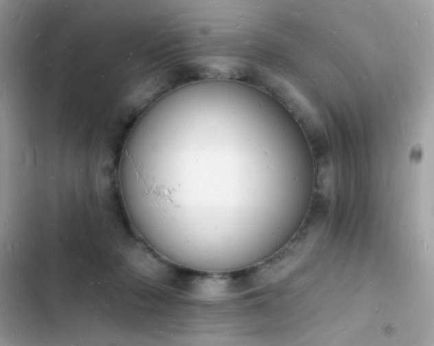 X0000103970318200809191540