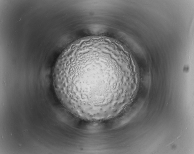 X0000103970319200809191540