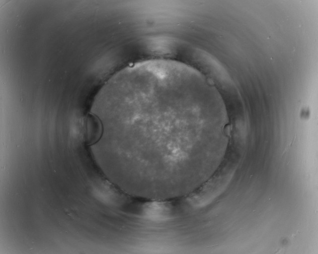 X0000103970320200809191540