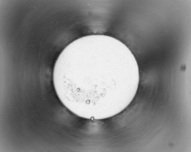 X0000103970321200809191540