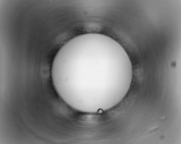 X0000103970323200809191540