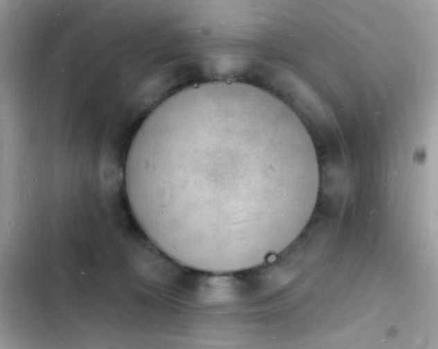 X0000103970324200809191540