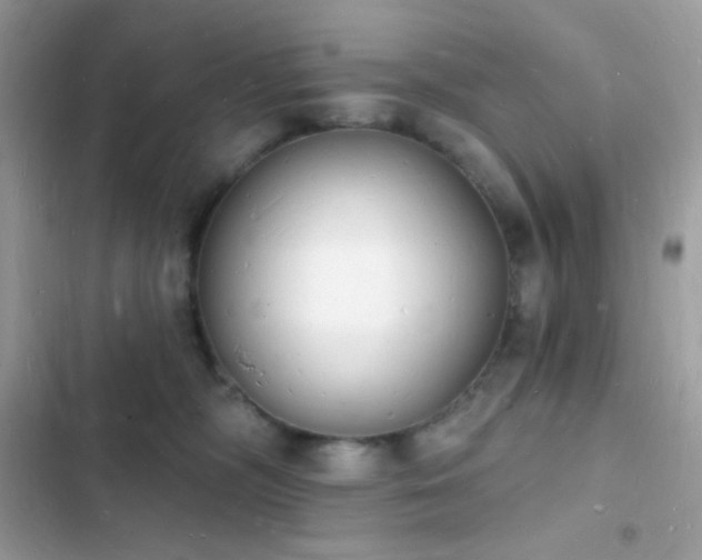 X0000103970326200809191540