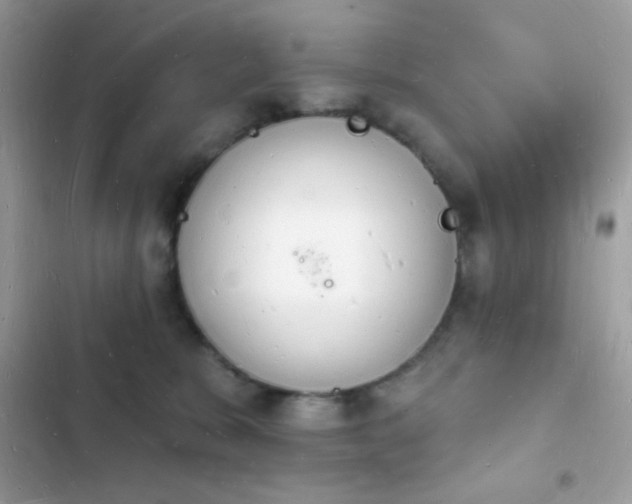 X0000103970327200809191540