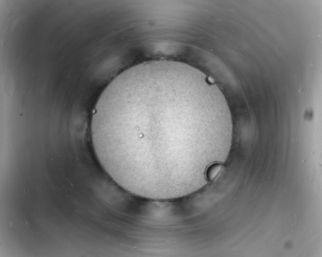 X0000103970328200809191540