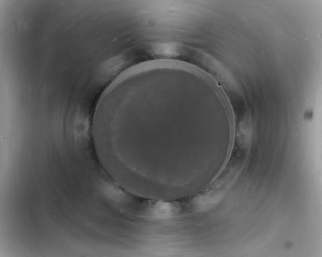 X0000103970330200809191540