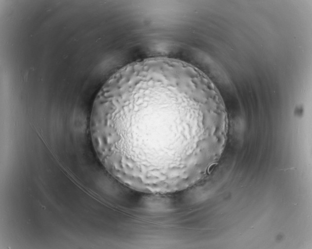 X0000103970331200809191540