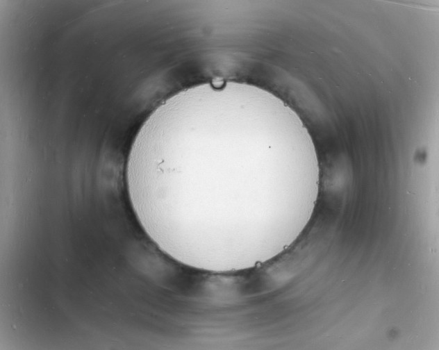 X0000103970332200809191540