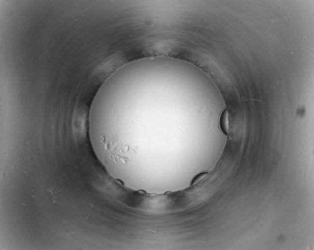 X0000103970334200809191540