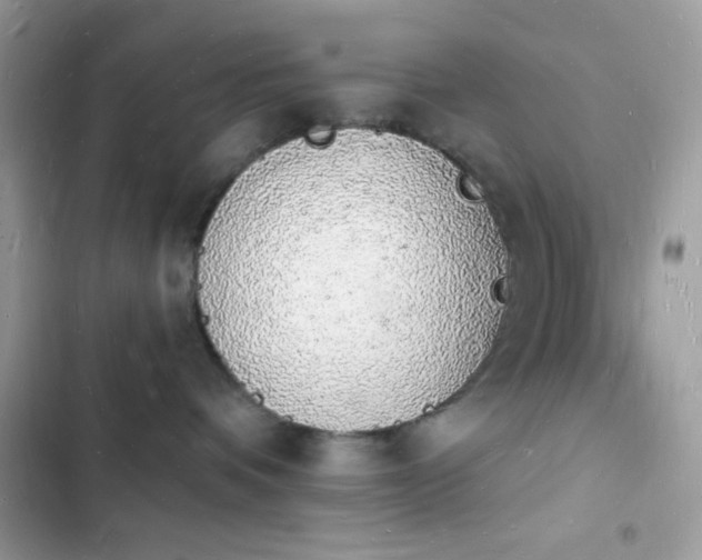 X0000103970336200809191540