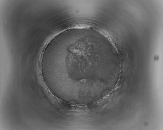 X0000103970337200809191539