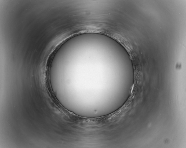 X0000103970338200809191539