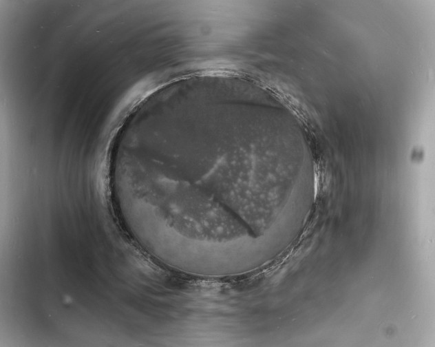 X0000103970339200809191539