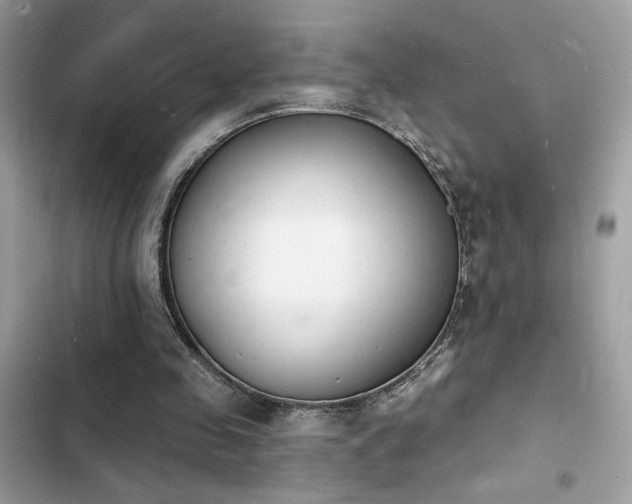 X0000103970341200809191539