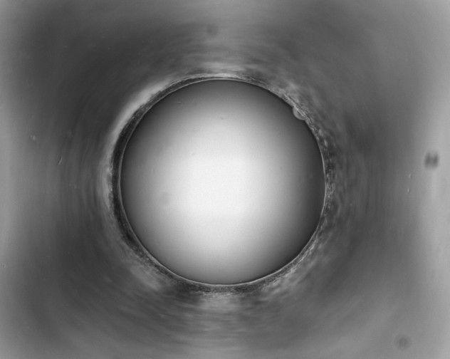 X0000103970342200809191539