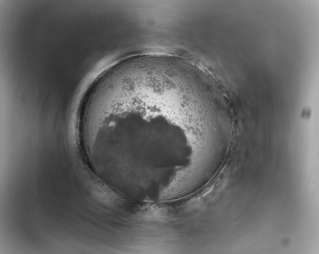 X0000103970343200809191539