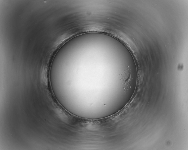 X0000103970345200809191539