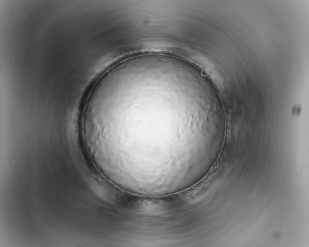 X0000103970346200809191539