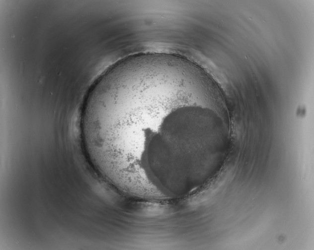 X0000103970347200809191539