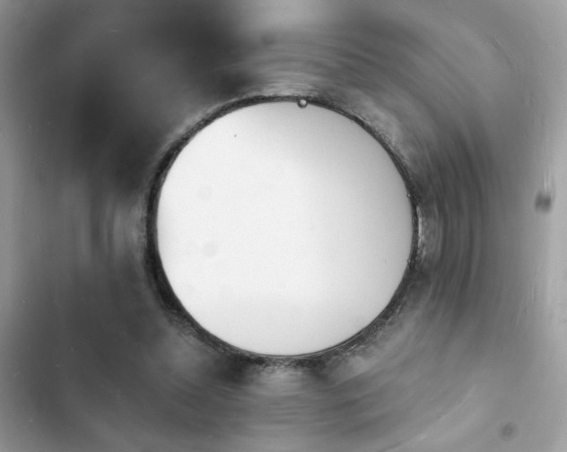 X0000103970348200809191539