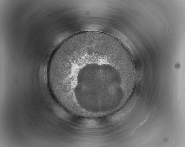 X0000103970349200809191539