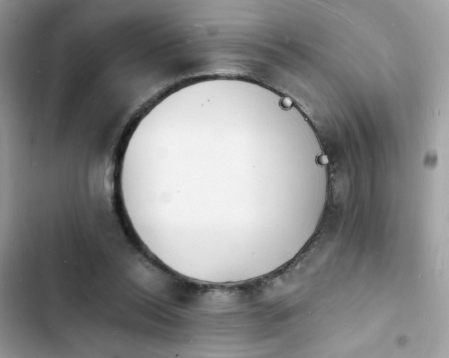 X0000103970350200809191539