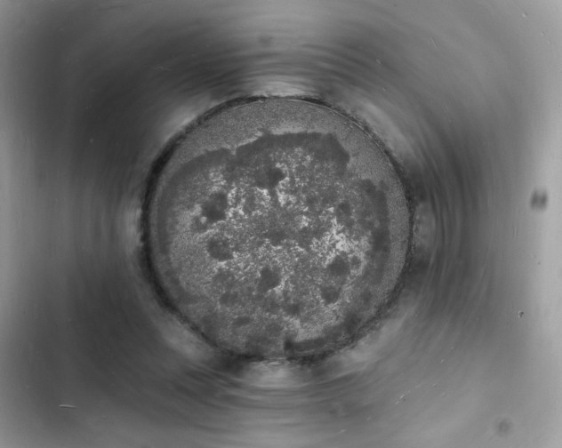 X0000103970351200809191539