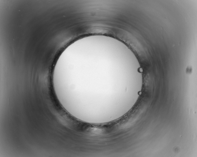 X0000103970352200809191539